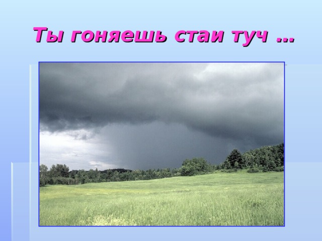 Ты гоняешь стаи туч …