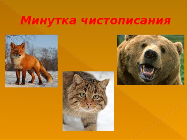 Минутка чистописания