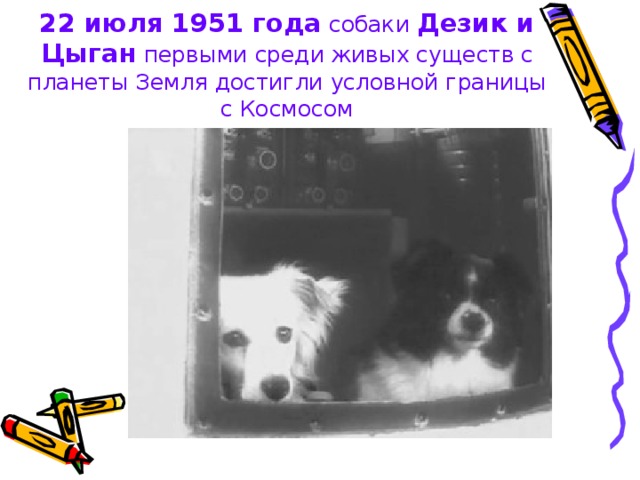 22 июля 1951 года собаки Дезик и Цыган первыми среди живых существ с планеты Земля достигли условной границы с Космосом