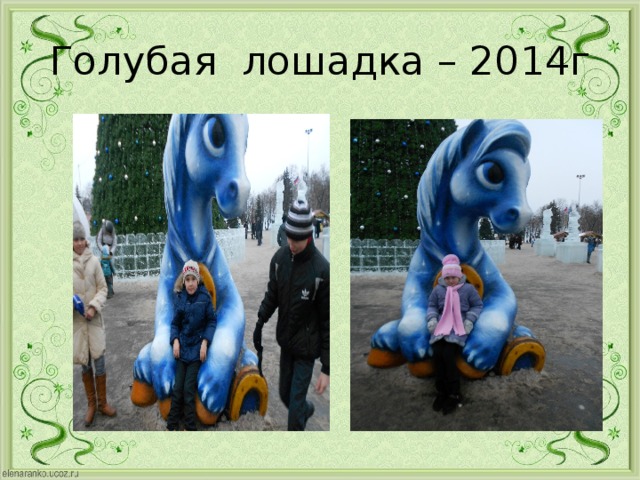 Голубая лошадка – 2014г