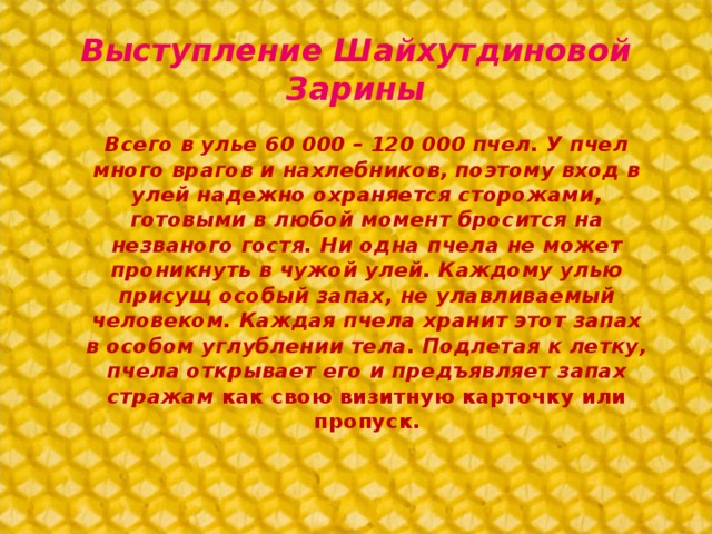 Выступление Шайхутдиновой Зарины Всего в улье 60 000 – 120 000 пчел. У пчел много врагов и нахлебников, поэтому вход в улей надежно охраняется сторожами, готовыми в любой момент бросится на незваного гостя. Ни одна пчела не может проникнуть в чужой улей. Каждому улью присущ особый запах, не улавливаемый человеком. Каждая пчела хранит этот запах в особом углублении тела. Подлетая к летку, пчела открывает его и предъявляет запах стражам как свою визитную карточку или пропуск.