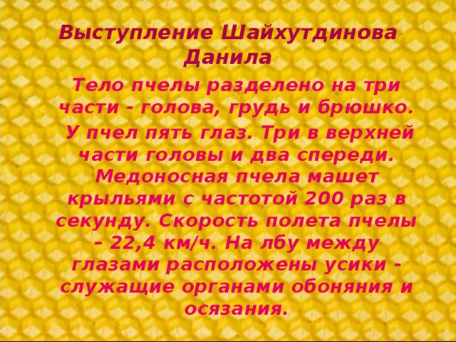 Выступление Шайхутдинова Данила Тело пчелы разделено на три части - голова, грудь и брюшко.  У пчел пять глаз. Три в верхней части головы и два спереди. Медоносная пчела машет крыльями с частотой 200 раз в секунду. Скорость полета пчелы – 22,4 км/ч. На лбу между глазами расположены усики - служащие органами обоняния и осязания.