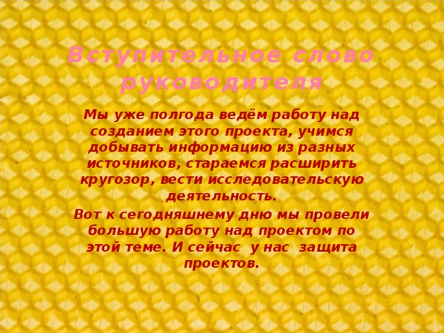 Вступительное слово руководителя Мы уже полгода ведём работу над созданием этого проекта, учимся добывать информацию из разных источников, стараемся расширить кругозор, вести исследовательскую деятельность. Вот к сегодняшнему дню мы провели большую работу над проектом по этой теме. И сейчас у нас защита проектов.