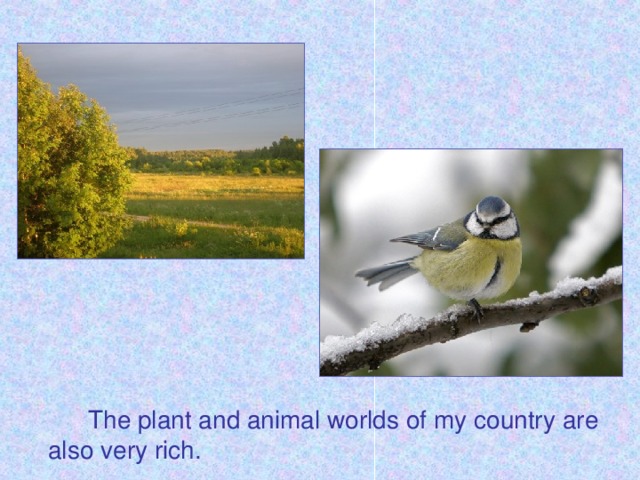 The plant and animal worlds of my country are also very rich.