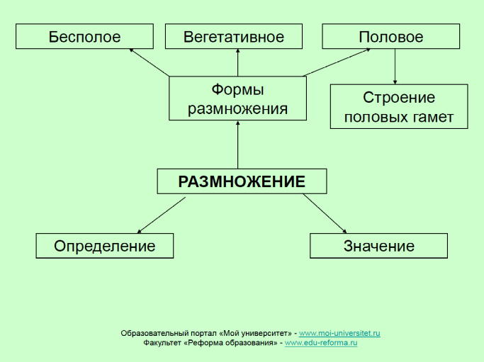 У растений различают бесполое и размножение