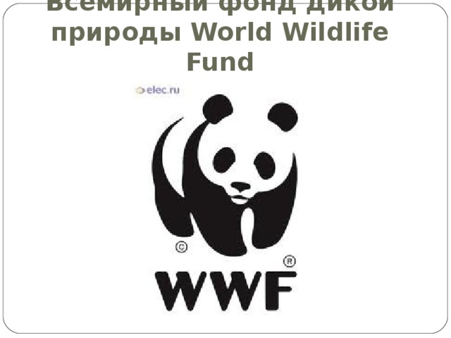 Всемирный фонд дикой природы World Wildlife Fund