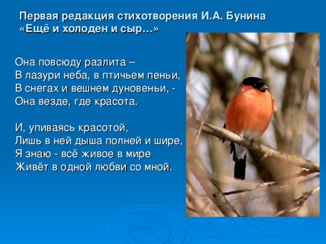 Первая редакция стихотворения И.А. Бунина  «Ещё и холоден и сыр…»   Она повсюду разлита – В лазури неба, в птичьем пеньи, В снегах и вешнем дуновеньи, - Она везде, где красота. И, упиваясь красотой, Лишь в ней дыша полней и шире, Я знаю - всё живое в мире Живёт в одной любви со мной.