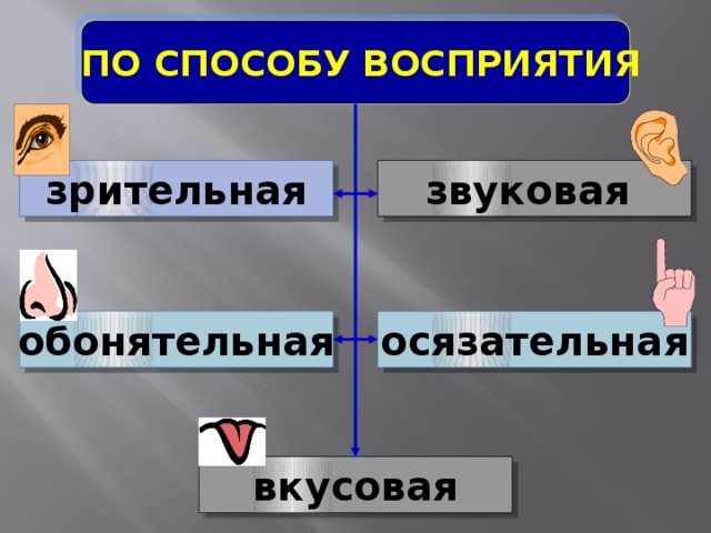 ПО СПОСОБУ ВОСПРИЯТИЯ зрительная звуковая обонятельная осязательная вкусовая