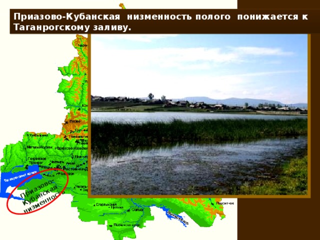 Приазово-Кубанская низменность Приазово-Кубанская низменность полого понижается к Таганрогскому заливу.