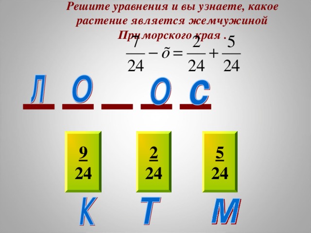 Решите уравнения и вы узнаете, какое растение является жемчужиной Приморского края . 5 24 9 24 2 24