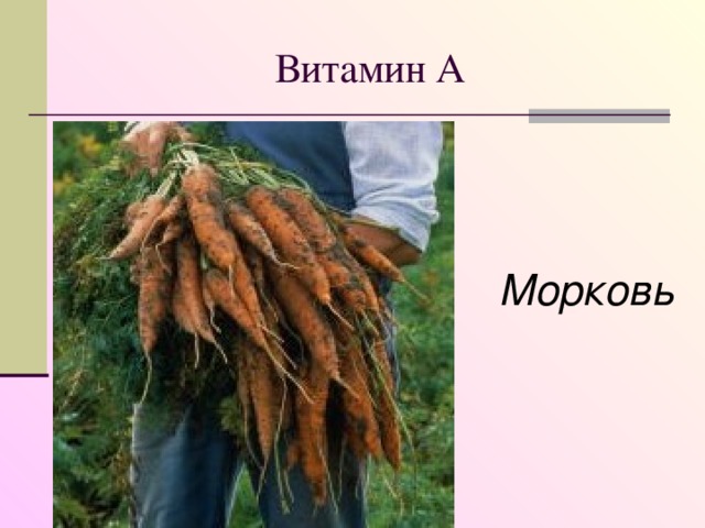 Витамин А Морковь