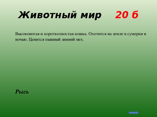 Животный мир 20 б  Высоконогая и короткохвостая кошка. Охотится на земле в сумерки и ночью. Ценится пышный зимний мех.  Рысь