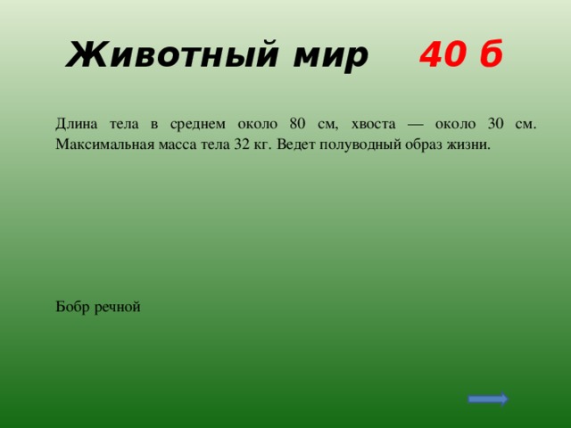 Животный мир 40 б  Длина тела в среднем около 80 см, хвоста — около 30 см. Максимальная масса тела 32 кг. Ведет полуводный образ жизни.  Бобр речной