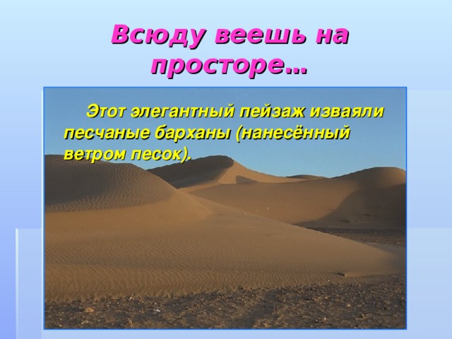 Всюду веешь на просторе…  Этот элегантный пейзаж изваяли песчаные барханы (нанесённый ветром песок).