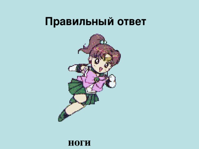 Правильный ответ  ноги