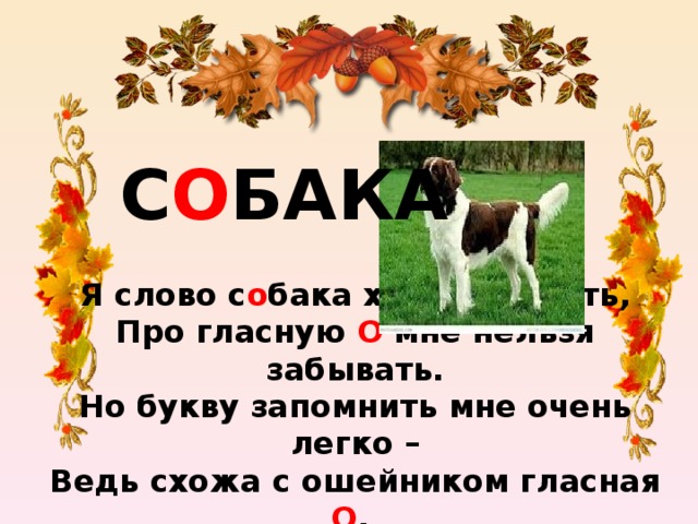 С О БАКА Я слово с о бака хочу написать,  Про гласную О мне нельзя забывать.  Но букву запомнить мне очень легко –  Ведь схожа с ошейником гласная О .