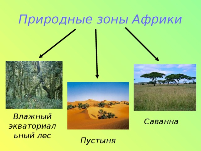 Природные зоны Африки Влажный экваториальный лес Саванна Пустыня