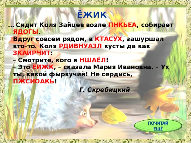 ЁЖИК … Сидит Коля Зайцев возле ПНКЬЕА , собирает ЯДОГЫ .  Вдруг совсем рядом, в КТАСУХ , зашуршал кто-то. Коля РДИВНУАЗЛ кусты да как ЗКАИРЧИТ :  – Смотрите, кого я НШАЁЛ !  – Это ЁИЖК , – сказала Мария Ивановна. – Ух ты, какой фыркучий! Не сердись, ПЖСИОАКЬ !     Г. Скребицкий