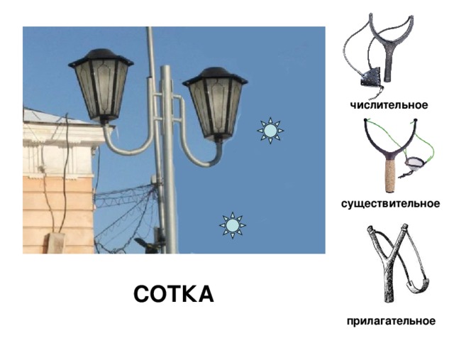числительное существительное СОТКА прилагательное