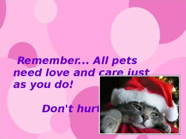 Remember... All pets need love and care just as you do!  Don't hurt them!