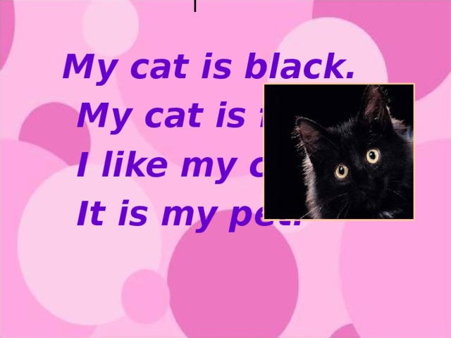 I  My cat is black.  My cat is fat.  I like my cat.  It is my pet.