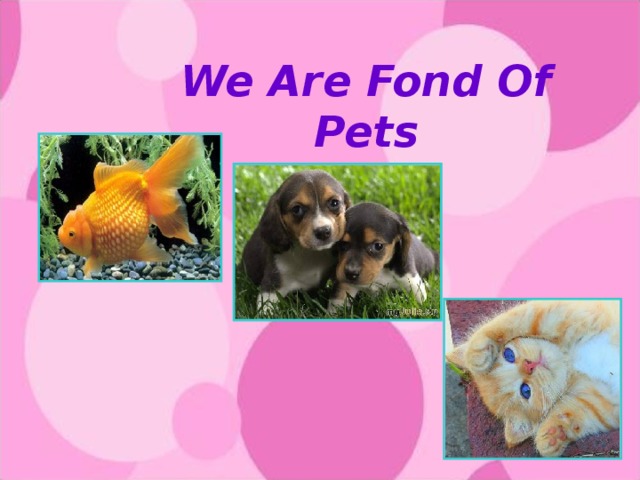 We Are Fond Of Pets