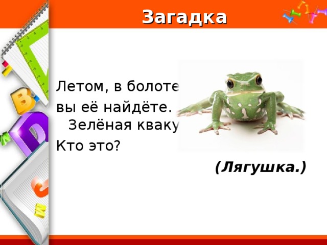 Загадка   (Лягушка.)