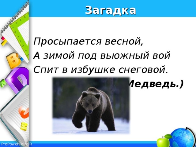 Загадка  Просыпается весной, А зимой под вьюжный вой Спит в избушке снеговой. (Медведь.)