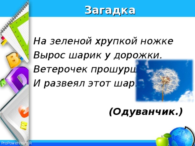 Загадка  На зеленой хрупкой ножке Вырос шарик у дорожки. Ветерочек прошуршал И развеял этот шар.  (Одуванчик.)