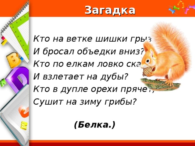 Загадка  Кто на ветке шишки грыз И бросал объедки вниз? Кто по елкам ловко скачет И взлетает на дубы? Кто в дупле орехи прячет, Сушит на зиму грибы?  (Белка.)