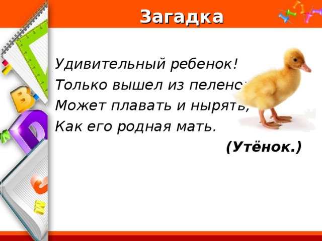 Загадка  Удивительный ребенок! Только вышел из пеленок, Может плавать и нырять, Как его родная мать. (Утёнок.)