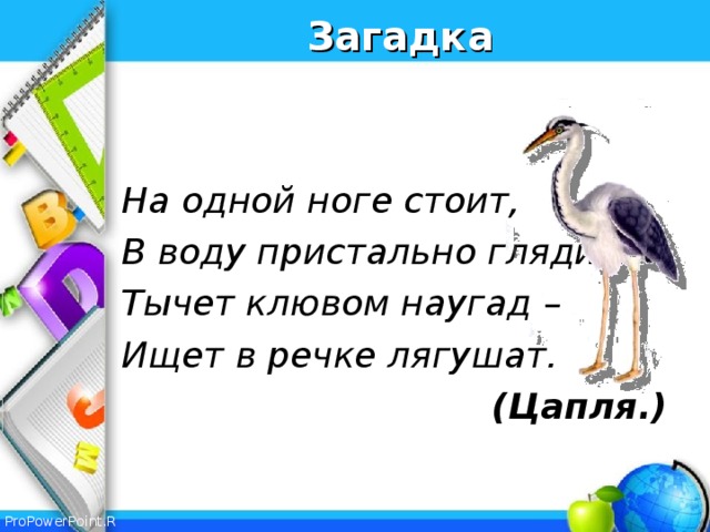 Загадка   На одной ноге стоит, В воду пристально глядит. Тычет клювом наугад – Ищет в речке лягушат.  (Цапля.)