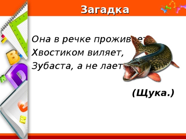 Загадка  Она в речке проживает, Хвостиком виляет, Зубаста, а не лает.   (Щука.)