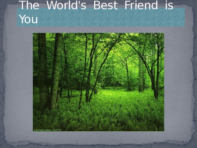 The World's Best Friend is You