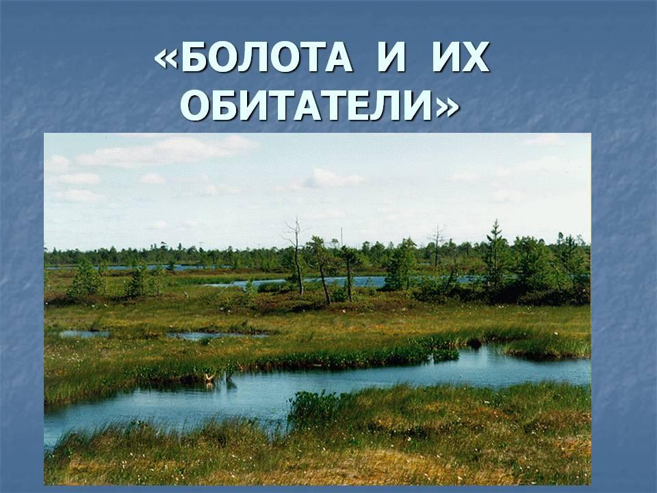 Болото конспект урока