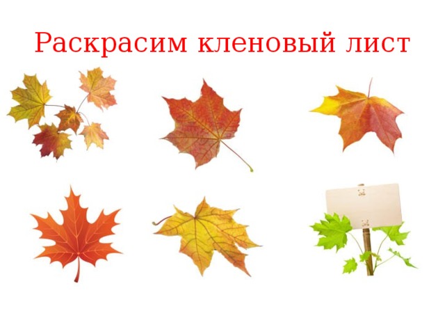 Раскрасим кленовый лист