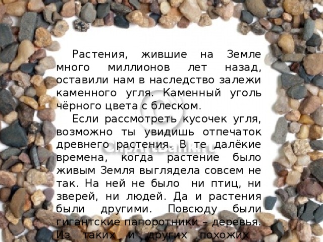 Растения, жившие на Земле много миллионов лет назад, оставили нам в наследство залежи каменного угля. Каменный уголь чёрного цвета с блеском.  Если рассмотреть кусочек угля, возможно ты увидишь отпечаток древнего растения. В те далёкие времена, когда растение было живым Земля выглядела совсем не так. На ней не было ни птиц, ни зверей, ни людей. Да и растения были другими. Повсюду были гигантские папоротники – деревья. Из таких и других похожих растений образовался каменный уголь.