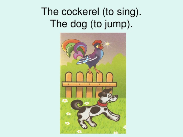 The cockerel (to sing).  The dog (to jump).