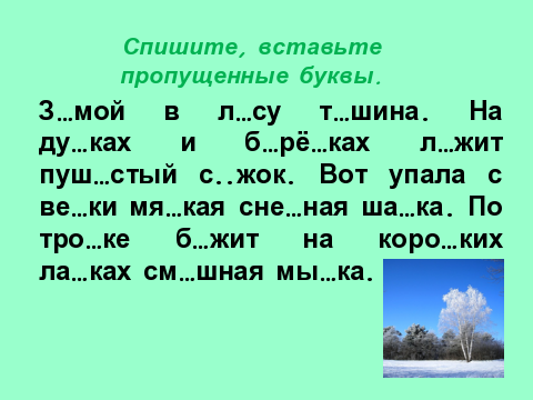 Вставь пропущенные буквы в лесу. Текст для 2 класса по русскому с пропущенными буквами. Текст для списывания 2 класс с пропущенными буквами. Текст с пропущенными буквами 2 класс русский язык. Списывание 2 класс с пропущенными буквами.