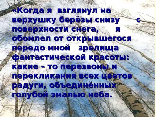 «Когда я взглянул на верхушку берёзы снизу с поверхности снега, я обомлел от открывшегося передо мной зрелища фантастической красоты: какие – то перезвоны и перекликания всех цветов радуги, объединённых голубой эмалью неба.