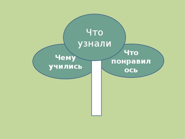 Что узнали Чему учились Что понравилось