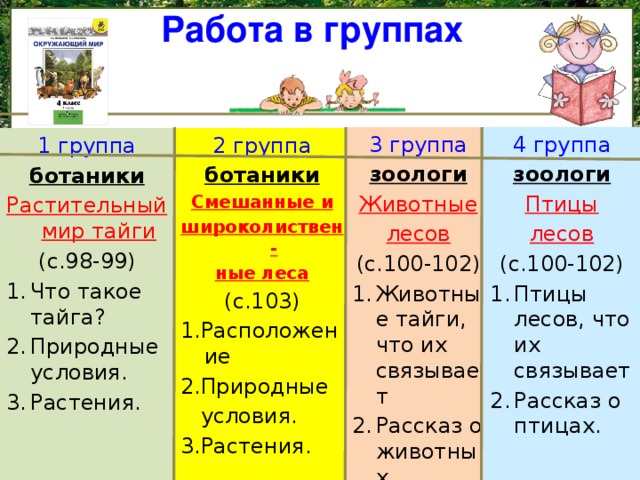 Работа в группах 3 группа 4 группа зоологи зоологи Птицы Животные лесов лесов (с.100-102) (с.100-102) Птицы лесов, что их связывает Рассказ о птицах. Животные тайги, что их связывает Рассказ о животных. 2 группа ботаники 1 группа Смешанные и ботаники широколиствен- Растительный мир тайги ные леса (с.98-99) (с.103) Что такое тайга? Природные условия. Растения. 1.Расположение 2.Природные  условия. 3.Растения. а