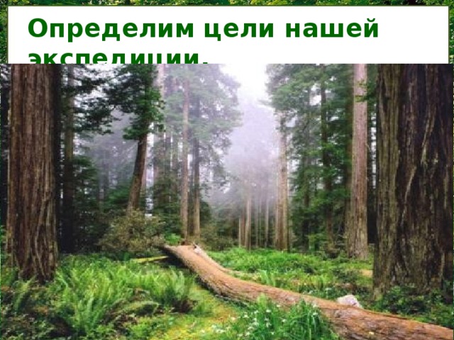 Определим цели нашей экспедиции. знать местонахождение природной зоны на карте  исследовать климатические условия данной природной зоны  исследовать растительный мир