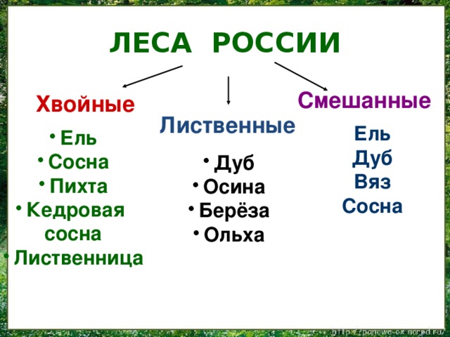 Леса россии 4 класс школа россии презентация окружающий мир плешаков