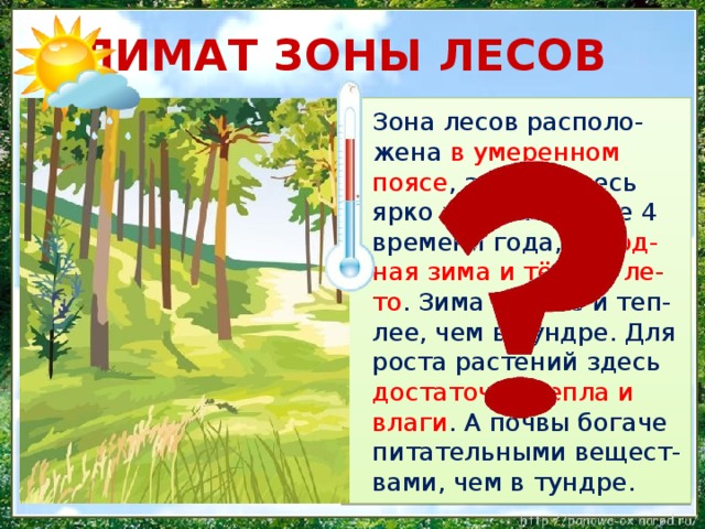 КЛИМАТ ЗОНЫ ЛЕСОВ  Зона лесов располо-жена в умеренном поясе , значит здесь ярко выражены все 4 времени года, холод-ная зима и тёплое ле-то . Зима короче и теп-лее, чем в тундре. Для роста растений здесь достаточно тепла и влаги . А почвы богаче питательными вещест-вами, чем в тундре.