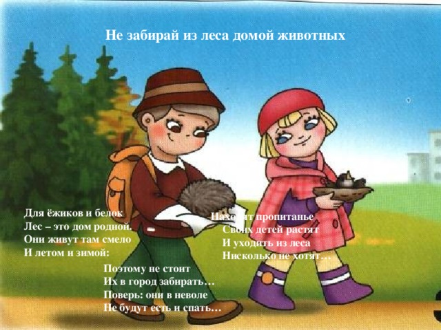 Не забирай из леса домой животных Для ёжиков и белок Лес – это дом родной. Они живут там смело И летом и зимой:  Находят пропитанье  Своих детей растят  И уходить из леса  Нисколько не хотят… Поэтому не стоит Их в город забирать… Поверь: они в неволе Не будут есть и спать…