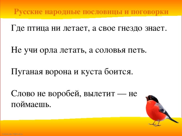 Русские народные пословицы и поговорки Где птица ни летает, а свое гнездо знает. Не учи орла летать, а соловья петь. Пуганая ворона и куста боится. Слово не воробей, вылетит — не поймаешь.