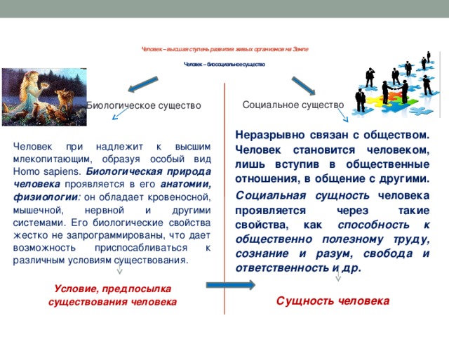 Как стать культурным человеком обществознание кратко