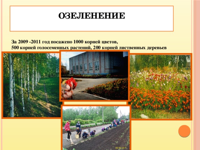 Озеленение    За 2009 -2011 год посажено 1000 корней цветов, 500 корней голосеменных растений, 200 корней лиственных деревьев
