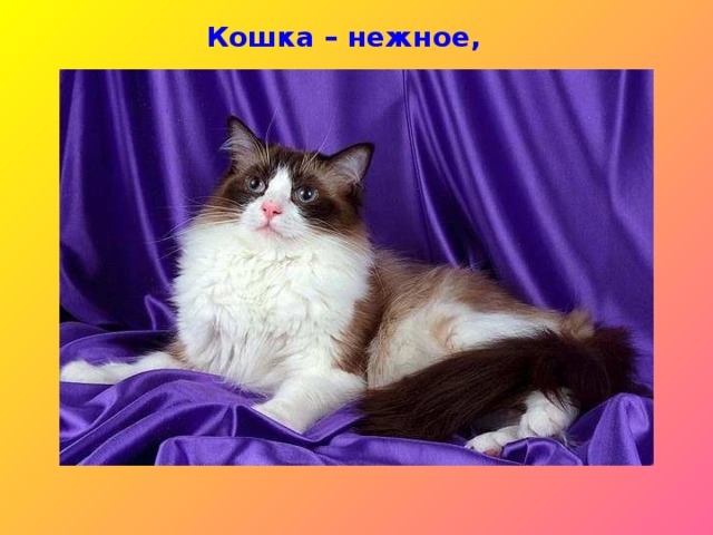 Кошка — красивое, элегантное, удивительно смышленое создание с яркой индивидуаль-ностью. Кошка быстро привыкает к дому и становится милым и близким другом.  Кошка — красивое, элегантное, удивительно смышленое создание с яркой индивидуальностью. Кошка быстро привыкает к дому и становится милым и близким другом.